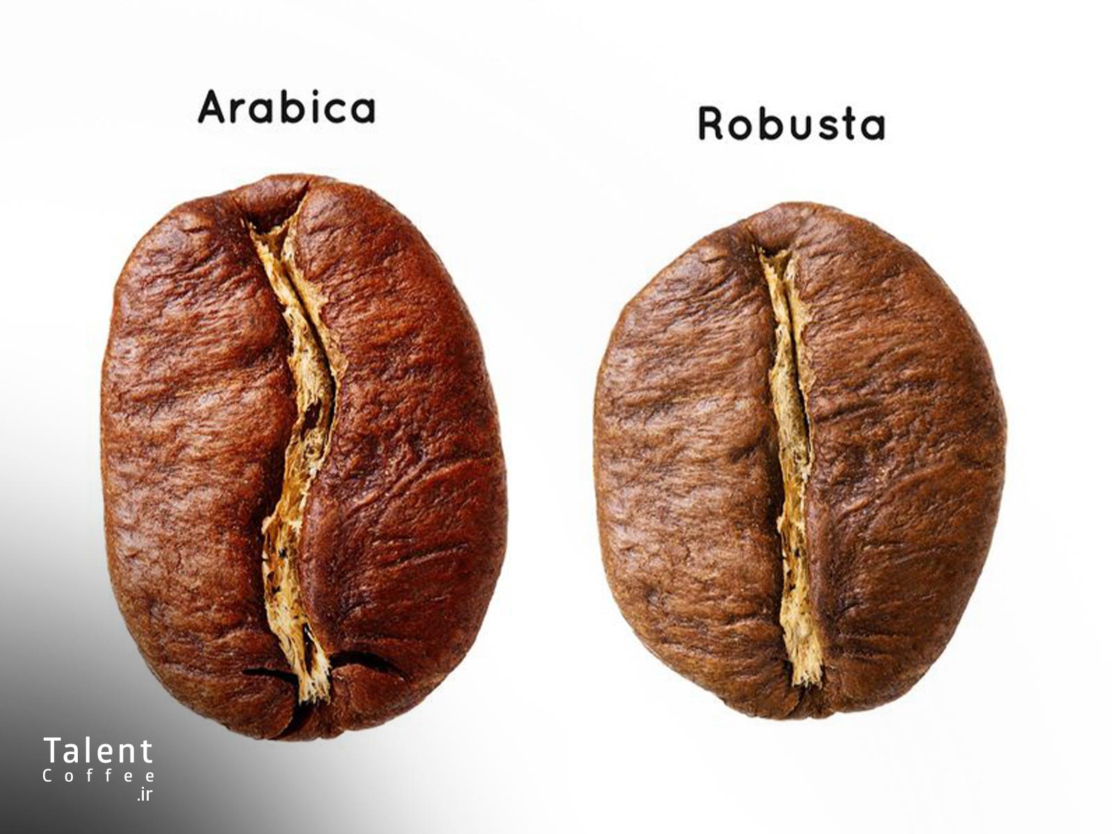 انتخاب قهوه مناسب اسپرسو