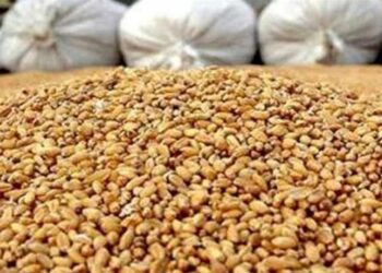 ادعای تعطیلی 75 درصد کارخانجات خوراک دام به دلیل نبوده نهاده