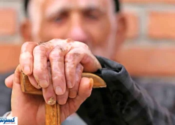 افزایش قابل توجه حقوق بازنشستگان با اجرای متناسب‌سازی؛ سران قوا وارد عمل شدند