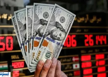 سهم برنج از دلارهای بانک مرکزی روشن شد