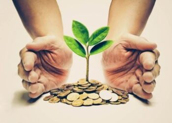 صندوق نوآفرین در مسیر احیا / مدیرعامل جدید معرفی شد
