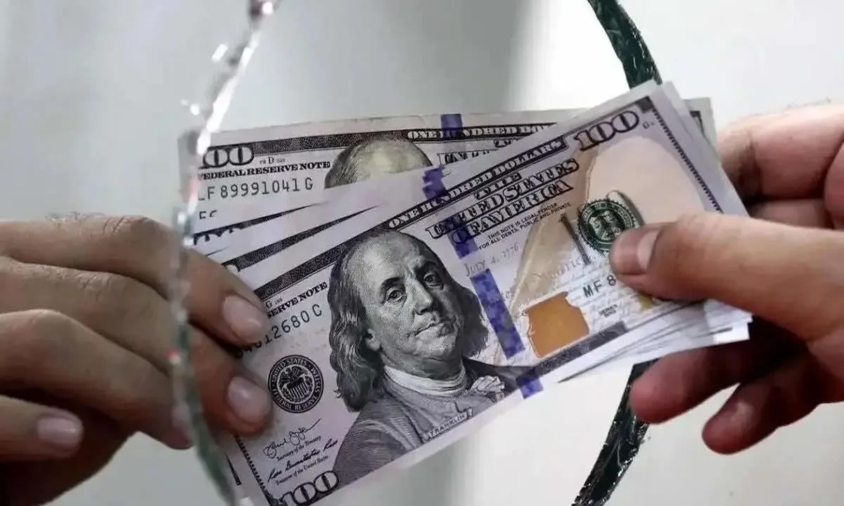 قیمت دلار امروز بازار را غافلگیر کرد (۱۴ آبان ۱۴۰۴)