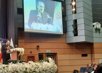 هزینه های کمر شکن دیابت برای خانوار / دولت باید دست به کار شود