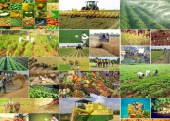 هیچ آمار کاربردی دقیقی در کشاورزی نداریم!