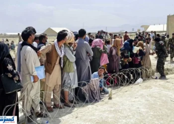 پشت پرده آمار ۸ هزار ویزای کار؛ کارگران افغانستانی بیمه تامین اجتماعی میشوند پشت پرده آمار ۸ هزار ویزای کار؛ کارگران افغانستانی بیمه تامین اجتماعی میشوند