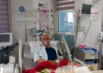 پیشنهاد فوری برای بازنشستگان؛ آیا قرارداد تازه کیفیت خدمات را بهبود میدهد؟ پیشنهاد فوری برای بازنشستگان؛ آیا قرارداد تازه کیفیت خدمات را بهبود میدهد؟