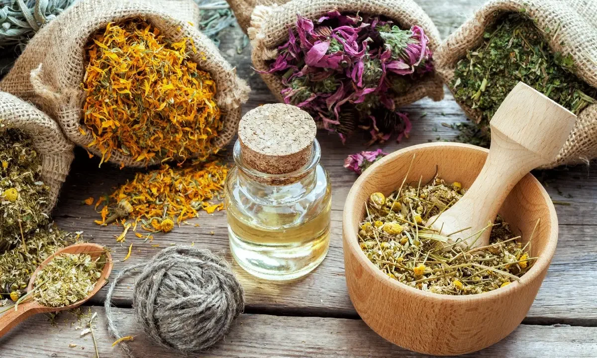 گیاهان دارویی پرکاربرد در طب سنتی و خواص آنها