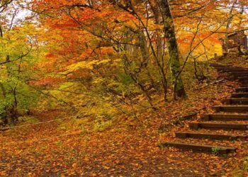 سفر پاییزی با خانواده؛ برنامه‌های خانوادگی و تفریحات پاییزی