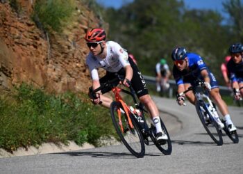 طلا در آسیا یا صعود در رنکینگ جهانی / دو راه سهمیه المپیک