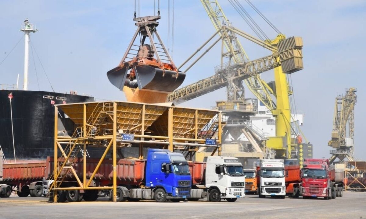 واردات ۱۲.۸ میلیون تن کالای اساسی فقط از یک بندر/ علت گرانی و کمبود چیست؟ واردات ۱۲.۸ میلیون تن کالای اساسی فقط از یک بندر/ علت گرانی و کمبود چیست؟