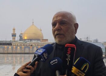 پلارک: صحن حضرت زینب در کربلا تا ۲ سال آینده بهره‌برداری می‌شود