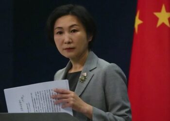 چین: قرار نیست نهادهای جهانی در خدمت کشور خاصی باشند