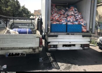 تسریع حمل نهادههای دامی از بنادر ضروری است تسریع حمل نهادههای دامی از بنادر ضروری است