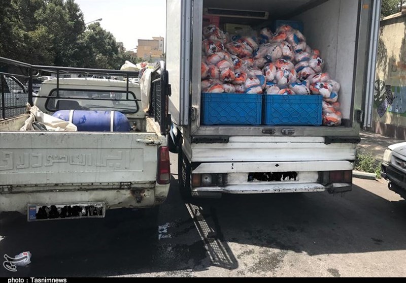 تسریع حمل نهادههای دامی از بنادر ضروری است تسریع حمل نهادههای دامی از بنادر ضروری است