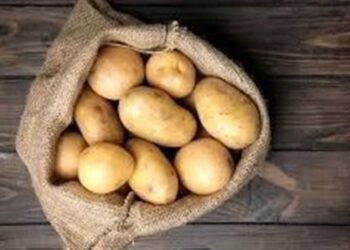 تشکیل پرونده قضایی برای گران فروشی سیب زمینی تشکیل پرونده قضایی برای گران فروشی سیب زمینی