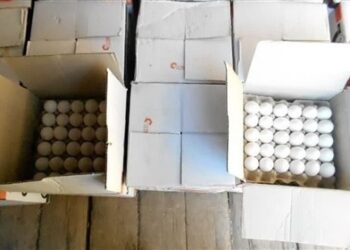 روزانه 800 تن تخم‌مرغ مازاد در کشور تولید می‌شود