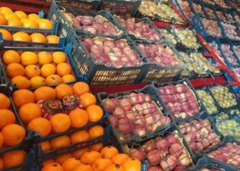 عدم توقف صادرات محصولات کشاورزی در شرایط جنگی