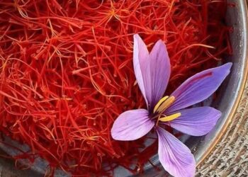 معامله 97 میلیارد تومان زعفران در بورس