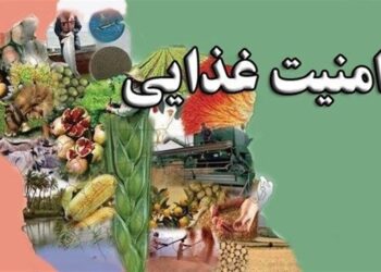 85 درصد امنیت غذایی کشور داخلی است