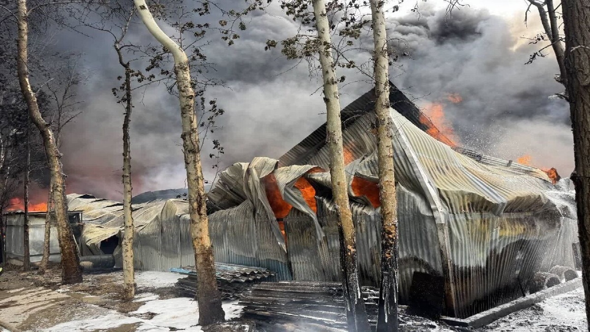 آخرین جزییات آتش سوزی کارخانه تولید چسب در البرز اعلام شد