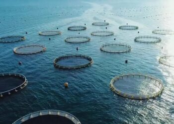 آزمایشگاه تشخیص بیماری‌های آبزیان در چهارمحال‌وبختیاری آغاز به کار کرد