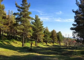 تعطیلی چهار بوستان جنگلی تهران در روز سیزده بدر/ اطلاعیه مهم شهرداری تهران