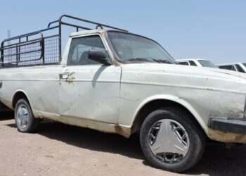 توقیف ۲ وانت مشکوک در میامی؛ ۴۳ رأس دام قاچاق کشف شد