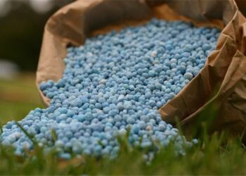 دغدغه‌های تولید کود در روزهای سخت؛ ضرورت بازنگری روند تخصیص ارز و مجوز