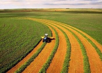 شرایط کشت بهاره دیم مطلوب شد