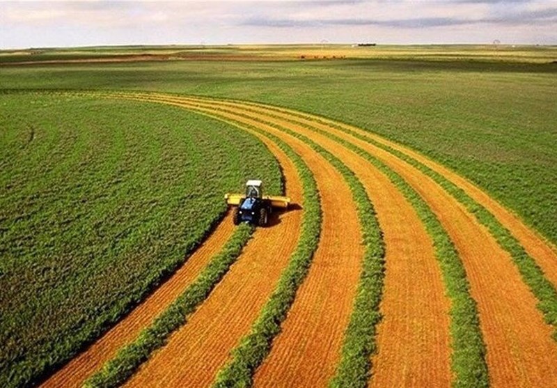 شرایط کشت بهاره دیم مطلوب شد