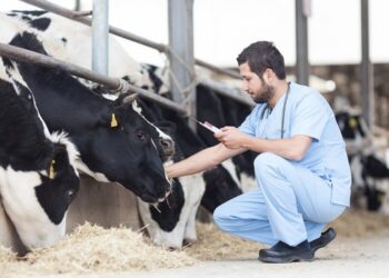 شناسایی ۹۶ کانون روستایی با شیوع بالای بیماری تب مالت در همدان