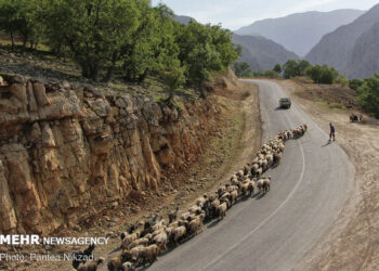 ضرورت جلوگیری از کوچ زودهنگام عشایر در الیگودرز