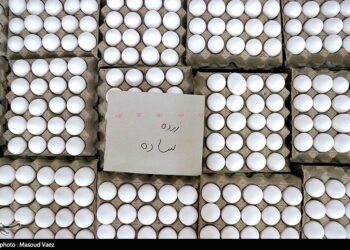 قیمت تخم مرغ کاهش می‌یابد