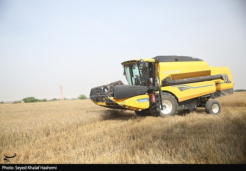 قیمت گندم 5نرخی شد