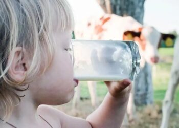 هشدار؛ تب مالت در بهار اوج می‌گیرد