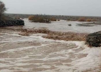 هماهنگی با ترکمنستان برای یافتن راننده تراکتور گرفتار سیل کلات