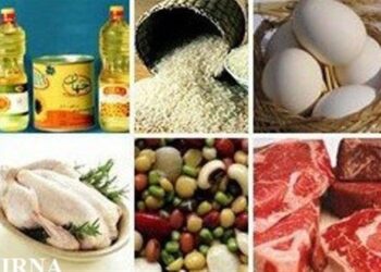 واردات کالاهای اساسی 2 برابر شد