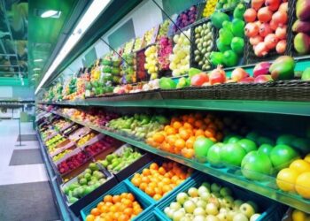 پیامد جنگ علیه ایران بر امنیت غذایی جهان فراتر از کمبود کود است