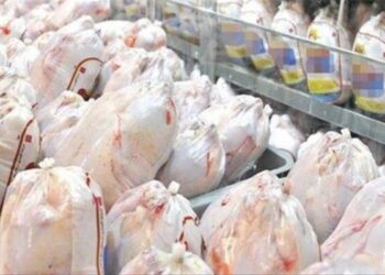 کرامتی: وضعیت استان زنجان در تأمین گوشت مرغ مطلوب است