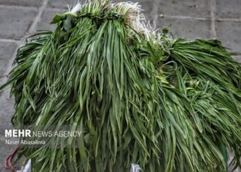 کشف و توقیف محموله گیاهان خوراکی غیرمجاز در دیواندره