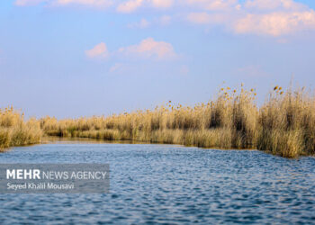 ۴ دستگاه ادوات صید برقی در تالاب شادگان کشف و ضبط شد