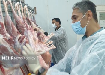 آماده باش سه اکیپ‌ نظارت بهداشتی و شرعی دامپزشکی در کشتارگاه رودان