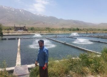 اخطار به متخلفان ساخت‌وساز غیرمجاز در مسیر آب مزارع پرورش ماهی ازنا