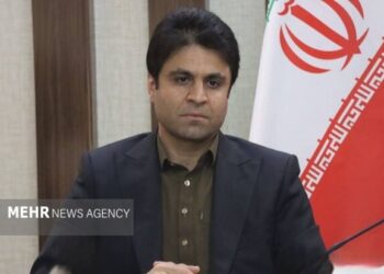 افزایش تولید گوشت با تسهیل واردات نهاده‌های دامی در سیستان وبلوچستان