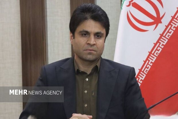 افزایش تولید گوشت با تسهیل واردات نهاده‌های دامی در سیستان وبلوچستان