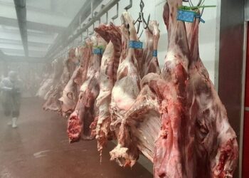 افزایش هزینه بسته‌بندی گوشت چقدر روی قیمت اثر دارد؟ / دبیر انجمن تولید و بسته‌بندی گوشت توضیح داد