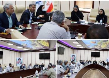 امینی: رعایت دستورالعمل‌های بهداشتی در پرورش میگو ضروری است
