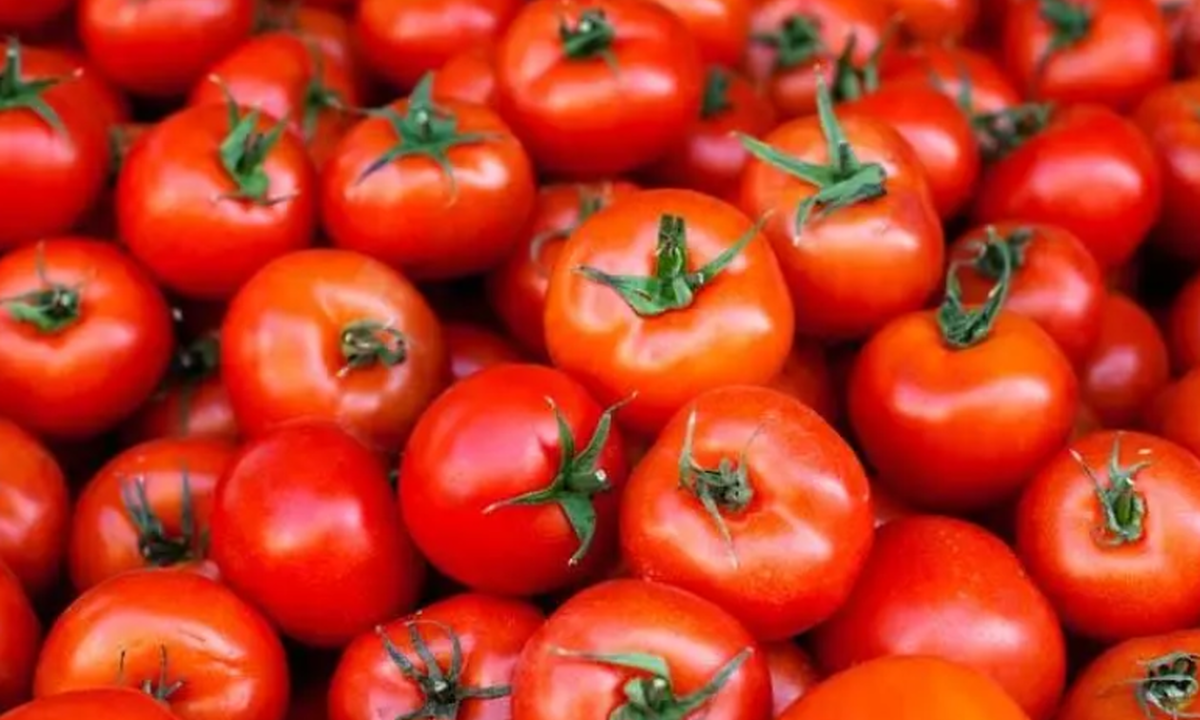 بازار صادراتی جان گرفت / دستور تازه گمرک برای خروج آزادانه سه کالای حساس