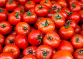 بازار صادراتی جان گرفت / دستور تازه گمرک برای خروج آزادانه سه کالای حساس