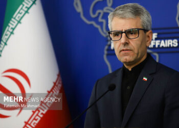 بقایی: وزارت امور خارجه پیگیر وضعیت تیم ملی خواهد بود